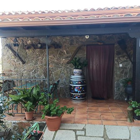 Casa Rural Los Olivos Sotoserrano 외부 사진