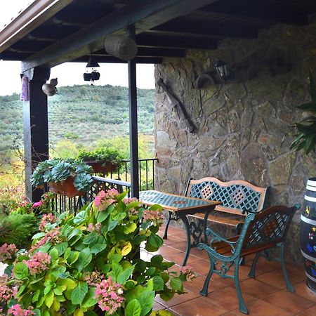 Casa Rural Los Olivos Sotoserrano 외부 사진
