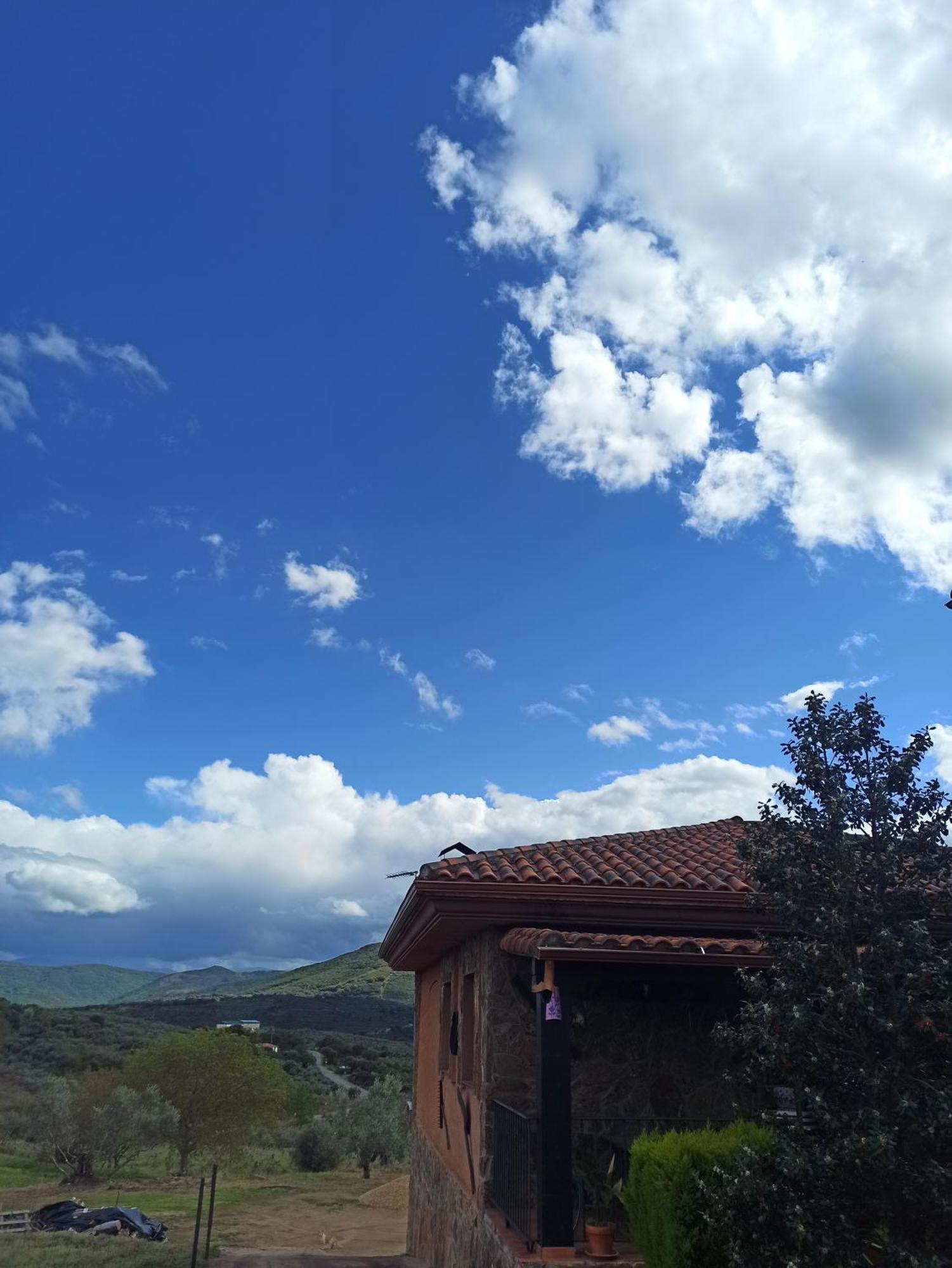 Casa Rural Los Olivos Sotoserrano 외부 사진