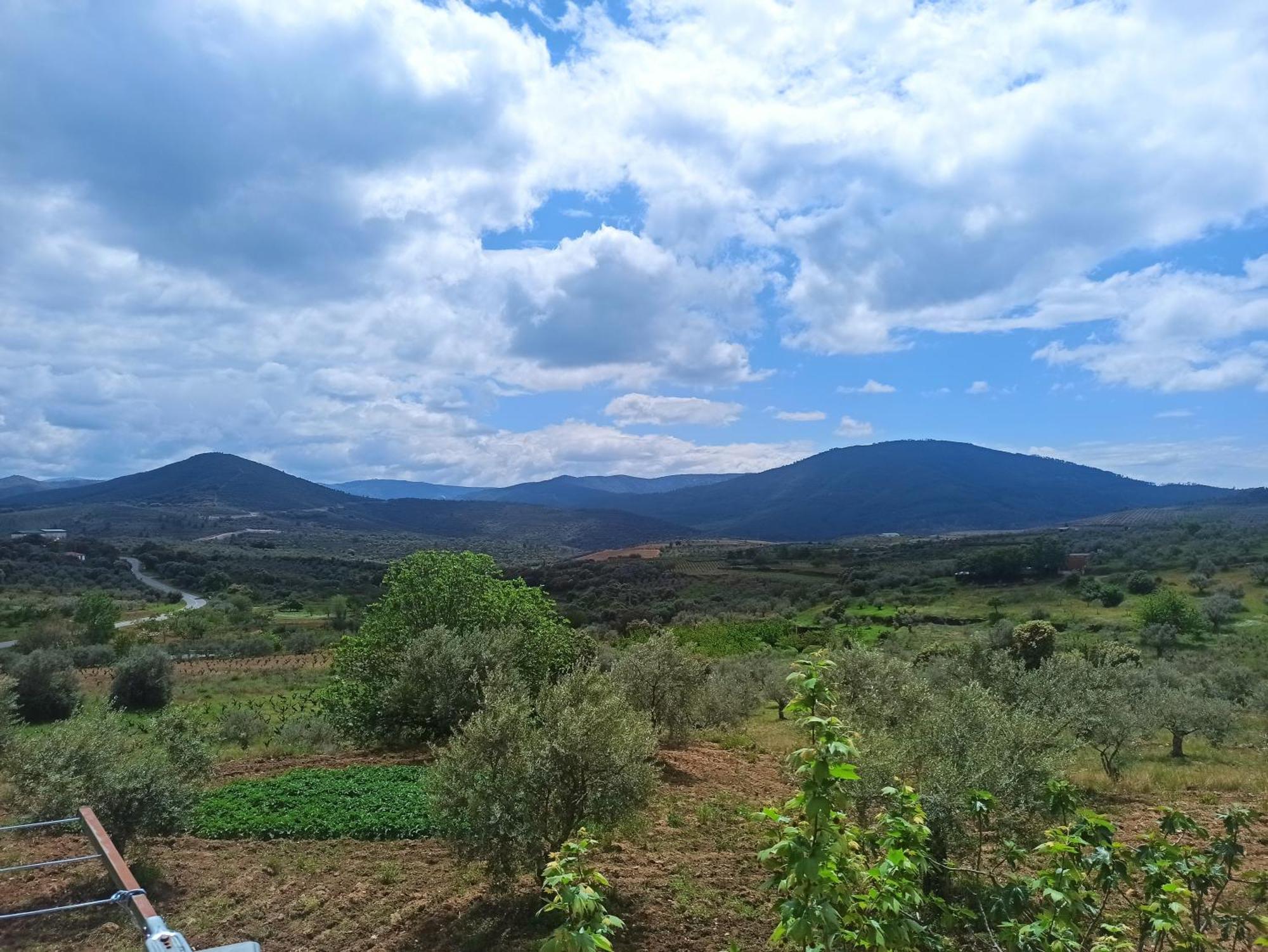 Casa Rural Los Olivos Sotoserrano 외부 사진
